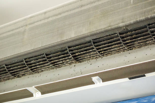 Best Air Duct Cleaning Near Me  in Quincy, MA